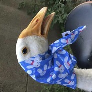 北方半仙 逆天改命