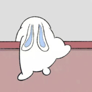 神奇的大兔子lanlan