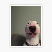 elgin the aboriginal