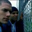 Michael Scofield