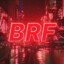 BRF_08