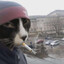 ГАНДЖУБАРСИК