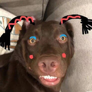 猪你的鼻子有两个孔