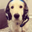gamer1998