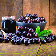 Jabuticaba avatar