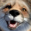 Foxy yxoF