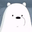 Ice Bear