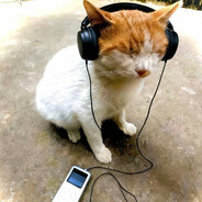 拉登是我干掉的