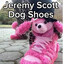 jeremy scott poodle