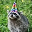 Randy The Party Raccoon