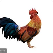Big Avatar