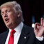 美国传奇耐杀王Mr.Trump