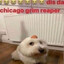 goodboy12