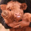 MooVibesOnly