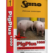 dzieciątko judasz - steam id 76561198988889587