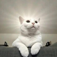 残局与你皆遗憾