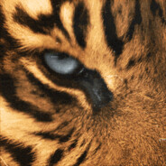 Master_Of_Tiger's Avatar