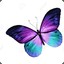 Butterfly Ƹ̵̡Ӝ̵̨̄Ʒ