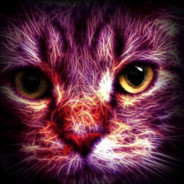 Meow