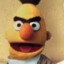 Bert