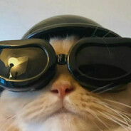 赛马娘PrettyDerby