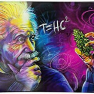 BASED ANDREW TATE FAN