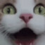 itsa_kiwi