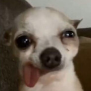 TonyPeperoni