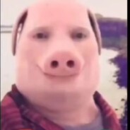 pig god