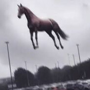 pyfes - steam id 76561198890879022