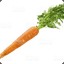 Carrot