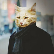 The cat in the coat - steam id 76561199212581473