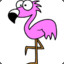 Eddytheflamingo