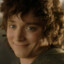 Frodo Bolson