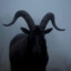 Belial