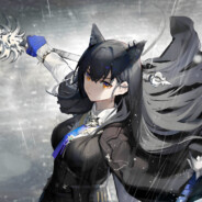 十三议会常任理事