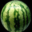 melon
