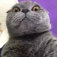 深圳第一野战旅