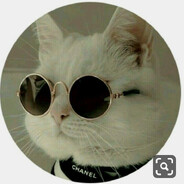 -hood - steam id 76561199147536089