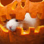 PumpkinRat