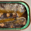 Atlantic Sardine