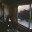 _rostover_