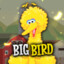 Big Bird