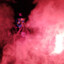 StadiMane