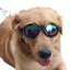 Hundebrille