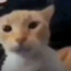 ꑭ