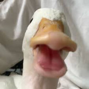 PaulyWali