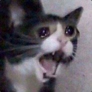 orrchase2
