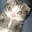 #голодный's avatar