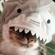 osharkybr@LPG